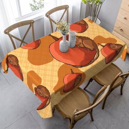 XZDLYY Tischdecke, weich, rechteckig, niedlicher kleiner Hamster, 89 x 140 cm, für Esszimmer, Party, Picknick, Hochzeit, Brunch oder Buffet von XZDLYY