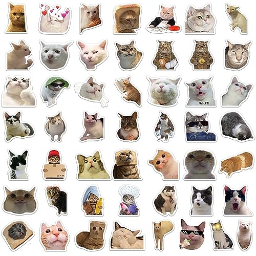 50 Stück beliebte Aufkleber mit Katzenausdrücken für Gepäck, Stifte, Gitarren, Notizbücher Skateboard Sticker Set (White, One Size) von XZincer