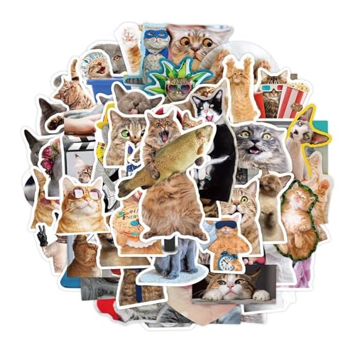 50 Stück lustige niedliche Katzen-Meme-Aufkleber für Kinder, Spielzeug, Scrapbook, Notebook, Motorrad, Laptop, Auto, Handy, Gitarre, wasserdichte Aufkleber von Xailry