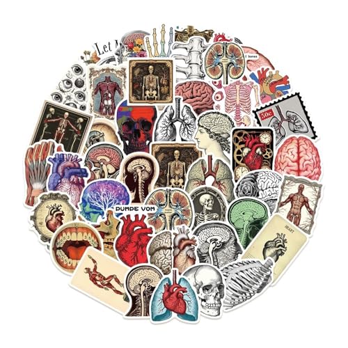 50 coole Retro-Aufkleber mit wissenschaftlicher Anatomie, Skateboard, Laptop, Motorrad, Handy, Auto, wasserdicht, Kinder, klassisches Spielzeug 50 coole Retro-Aufkleber mit wissenschaftlicher Anatomie, Skateboard, Laptop, Motorrad, Handy, Auto, wasserdicht, Kinder, klassisches Spielzeug von Xailry