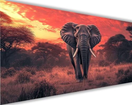 Elefant Malen Nach Zahlen Erwachsene Groß 60x120 cm,Malen Nach Zahlen Landschaft,Kreativ Set für Erwachsene,DIY Handgemalt Ölgemälde Leinwand Kit mit Pinseln Acrylfarben,Home Dekor Geschenk L1052 von Xeoyenle