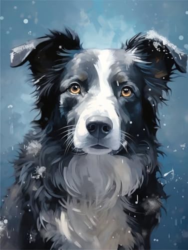 Malen Nach Zahlen Erwachsene Border Collie,DIY Malen Nach Zahlen Hund Ölgemälde Leinwand Kit für Anfänger,Mit 3-Pinseln und Acrylfarbe,für Home Wanddeko Wohnzimmer,Geschenke Mädchen 30x50cm LY-15201 Malen Nach Zahlen Erwachsene Border Collie,DIY Malen Nach Zahlen Hund Ölgemälde Leinwand Kit für Anfänger,Mit 3-Pinseln und Acrylfarbe,für Home Wanddeko Wohnzimmer,Geschenke Mädchen 30x50cm LY-15201 von Xeoyenle