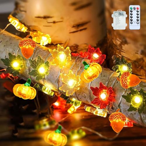 Xevinas Lichterkette Herbst 2M 20 LED Eichel Herbstgirlande mit Licht Herbstdekoration Sunshine für Erntedankfest Weihnachten Party (D) von Xevinas