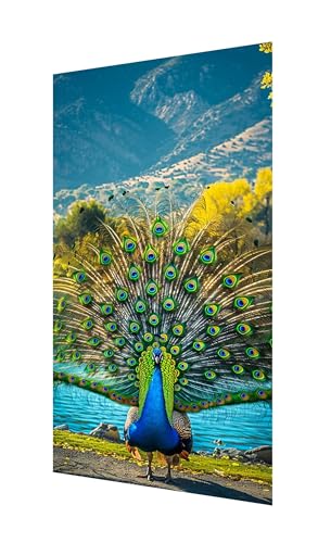 Diamond Painting Erwachsene Groß XXL 160x80cm, Diamant Painting Bilder Pfau Diamant Paintings Kinder Feder, DIY Runder Vollbohrer Diamanten Malerei Stickerei Kreuzstich Bastelset, Zimmer Deko X2-1170 von Xhgtehng