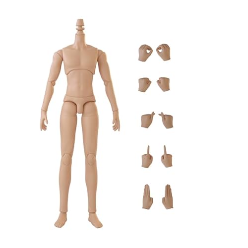 XiDonDon YMY23/YMY25 BJD Puppenkörper für SD-Puppen mit männlichen Gelenken Ob22,ob23,ob24 GSC Ersatzkörper mit Puppenzubehör (25 Suntan1) von XiDonDon