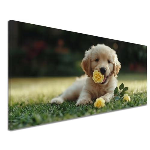 Diamond Painting Landschaft mit Diamond Painting Zubehör, Bastelset Erwachsene kreativ DIY Diamant Malerei Bilder Hund Diamant Stickerei Kreuzstich Kunst, Home Büro Wand Dekor Geschenk 50x120 cm c-141 Diamond Painting Landschaft mit Diamond Painting Zubehör, Bastelset Erwachsene kreativ DIY Diamant Malerei Bilder Hund Diamant Stickerei Kreuzstich Kunst, Home Büro Wand Dekor Geschenk 50x120 cm c-141 von Xiaboor