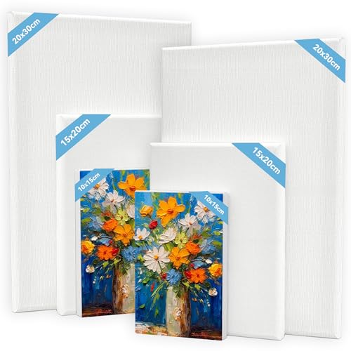 XiaoLidm 6 Stück Leinwand zum Bemalen, 30x20,20x15,15x10cm Kleine Leinwände zum Bemalen, Leinwände für Acrylfarben XiaoLidm 6 Stück Leinwand zum Bemalen, 30x20,20x15,15x10cm Kleine Leinwände zum Bemalen, Leinwände für Acrylfarben von XiaoLidm