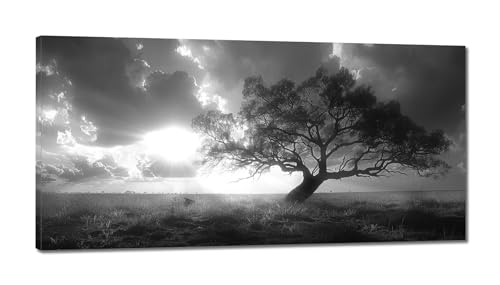 Diamond Painting Erwachsene,Groß 5D Baum Diamond Painting Schwarz und weiß DIY XXL Diamant Painting Bilder kinder mit Diamond Painting Zubehör Schlafzimmer Wohnzimmer Dekoration 70x140cm Diamond Painting Erwachsene,Groß 5D Baum Diamond Painting Schwarz und weiß DIY XXL Diamant Painting Bilder kinder mit Diamond Painting Zubehör Schlafzimmer Wohnzimmer Dekoration 70x140cm von Xiaonu