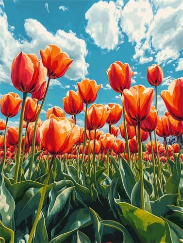 Tulpe Malen Nach Zahlen Erwachsene Groß20x30cm, Malen Nach Zahlen Blume, Kreativ Set für Erwachsene, DIY Handgemalt Ölgemälde Leinwand Kit mit Pinseln Acrylfarben, Home Dekor Frauen Geschenk E1-669 von Xieazgsn