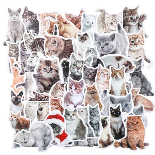 100 Stück Aufkleber Katze Wasserfest Katzensticker Süße Katzen Aufkleber Set Ästhetische Katzenform Sticker Katzenaufkleber für Katzenliebhaber DIY Koffer Notebook Telefon Mobiltelefone von Xinjoduz