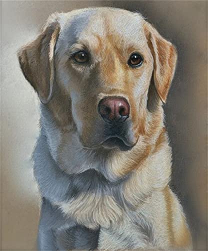 Diamond Painting Bilder Labrador, DIY Cross Stitch Stickerei Malerei Kits, Diamant Malerei Malen Nach Zahlen Full Drill Kristall Set, Stickerei Kunsthandwerk House Wall Dekoration(30x60cm) von Xiooger