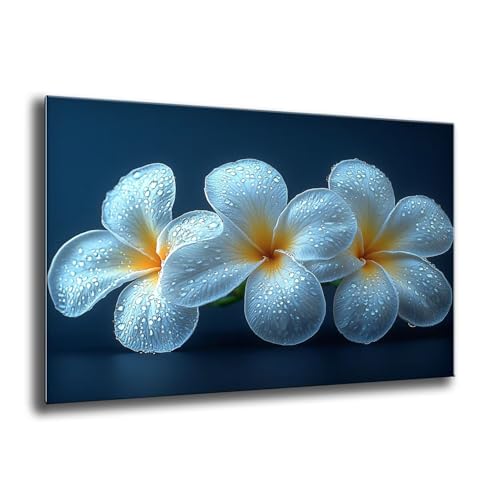 Diamond Painting Kinder Weiß Blumen Diamond Painting Runder Steine, Kreativ Set für Erwachsene, DIY Diamant Kristall Arts Set Handbuch Craft für Home Dekoration, Weihnachtsgeschenke 70x95 cm M-891 von Xkogjo