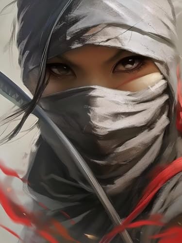 Ninja-Frau Diamond Painting Set für Erwachsene groß xxl, Diamant Malerei Cross Stitch Stickerei Kunsthandwerk Set für Erwachsene, 5D DIY Diamond Painting Zubehör, Möbel Dekoration 30x40 cm S-407 von Xkogjo