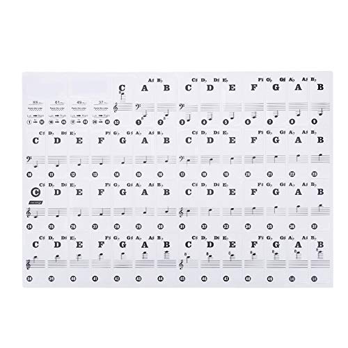 Xolsurg transparent abnehmbarer Klavierschlüssel -Tafelaufkleber für 61/88 Key Electronic Pianos (Farbe) (Schwarz) von Xolsurg