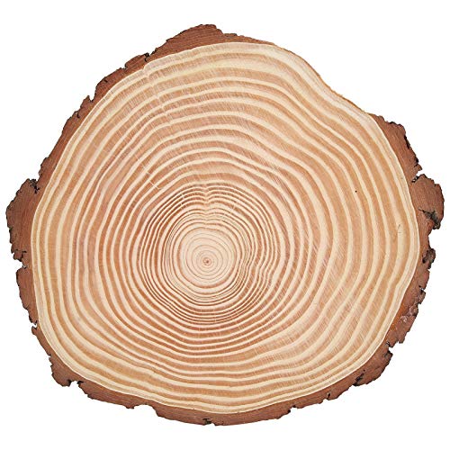 Xolsurgische Holzringe Ornamente rustikale Holzscheiben mit Rinde für DIY -Dekoration (29 * 26) von Xolsurg