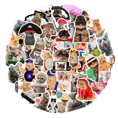 Katzen Sticker Set, 66PCS Lustiges Katzen Aufkleber, Sticker Aesthetic, Tiere Sticker Kinder, Scrapbook Stickers, Laptop Sticker, Wasserfeste Vinyl Aufkleber für Wasserflaschen, Gepäck, Skateboard von XongSyue