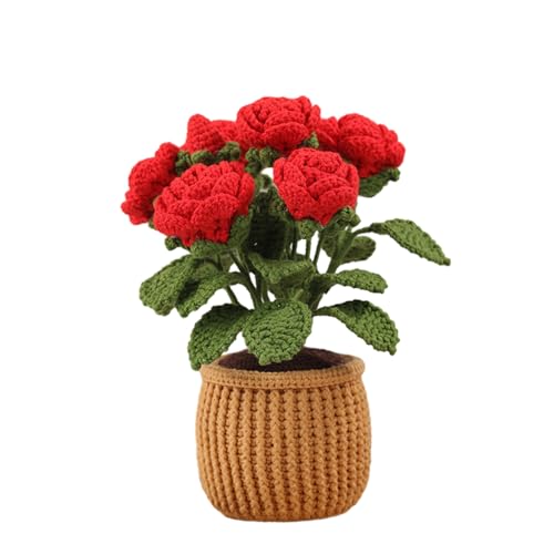 XuQiZZpp Pflanzen Häkelsets Anfänger Häkelsets Tiergarn Set mit Haken & Einfädler für Anfänger Pflanze Komplettes Tiergarn-Set XuQiZZpp Pflanzen Häkelsets Anfänger Häkelsets Tiergarn Set mit Haken & Einfädler für Anfänger Pflanze Komplettes Tiergarn-Set von XuQiZZpp
