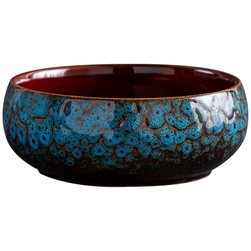 Xuanxi Kreative Hochtemperatur-Keramik-Pflanzschale für Sukkulenten und Wasserpflanzen, mit einzigartiger, glasierter Oberfläche, Heimdekoration, kein Ablaufloch Xuanxi Kreative Hochtemperatur-Keramik-Pflanzschale für Sukkulenten und Wasserpflanzen, mit einzigartiger, glasierter Oberfläche, Heimdekoration, kein Ablaufloch von Xuanxi