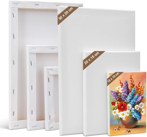6 Stk Leinwand zum Bemalen, 100% Baumwolle Leinwände zum Malen, Vorgespannte Weiße Künstler Leinwand Set, 30x20 cm,20x15 cm,15x10 cm Kleine Keilrahmen Leinwandpaneele Malkarton für Acryl ölfarben 6 Stk Leinwand zum Bemalen, 100% Baumwolle Leinwände zum Malen, Vorgespannte Weiße Künstler Leinwand Set, 30x20 cm,20x15 cm,15x10 cm Kleine Keilrahmen Leinwandpaneele Malkarton für Acryl ölfarben von XxinXrong