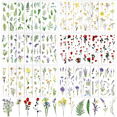 36 Stück Blumenaufkleber, Transparente Dekorative Aufkleber, Pflanzen Aufkleber, Blumen Scrapbooking Aufkleber, Rose Aufkleber, für Fotoalben, Sammelalben, Notizbücher, Tagebücher DIY-Dekoration (A) 36 Stück Blumenaufkleber, Transparente Dekorative Aufkleber, Pflanzen Aufkleber, Blumen Scrapbooking Aufkleber, Rose Aufkleber, für Fotoalben, Sammelalben, Notizbücher, Tagebücher DIY-Dekoration (A) von YAJIMAOY