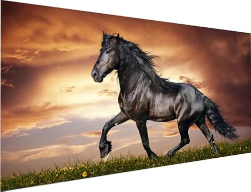YALKIN 5D Diamond Painting Großes XXL 40x70cm Diamant Painting Bilder Laufen Pferd Diamond Art Erwachsene Full DIY Diamant Kunst Malerei Stickerei Set Kreuzstich Bilder Home Wand Dekor YALKIN 5D Diamond Painting Großes XXL 40x70cm Diamant Painting Bilder Laufen Pferd Diamond Art Erwachsene Full DIY Diamant Kunst Malerei Stickerei Set Kreuzstich Bilder Home Wand Dekor von YALKIN