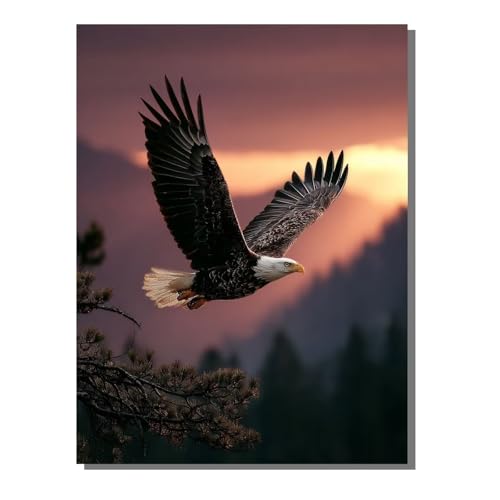 5D Diamond Painting Erwachsene, Diamant Malerei Kinder Anfänger, DIY Adler Tier Diamant Painting Bilder Erwachsene Bastelset Geeignet Als Geschenk, Zur Entspannung und Als Wanddeko 30x40 cm SYLF110 5D Diamond Painting Erwachsene, Diamant Malerei Kinder Anfänger, DIY Adler Tier Diamant Painting Bilder Erwachsene Bastelset Geeignet Als Geschenk, Zur Entspannung und Als Wanddeko 30x40 cm SYLF110 von YALNSENN