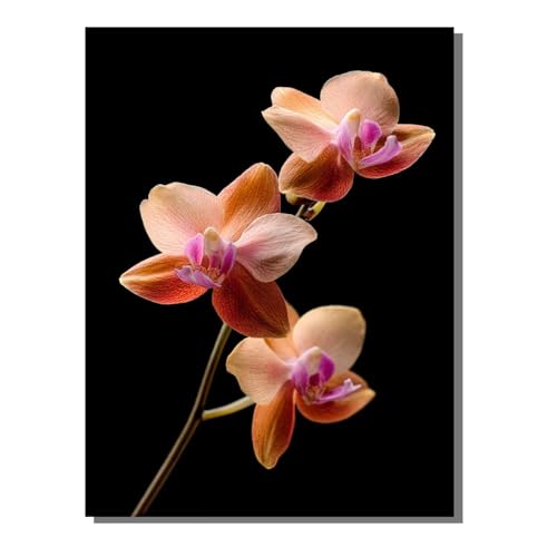 5D Diamond Painting Erwachsene, Diamant Malerei Kinder Anfänger, DIY Pflanze Blume Diamant Painting Bilder Erwachsene Bastelset Als Geschenk Zur Entspannung und Als Wanddeko 50 x 70 cm SYLF791 von YALNSENN