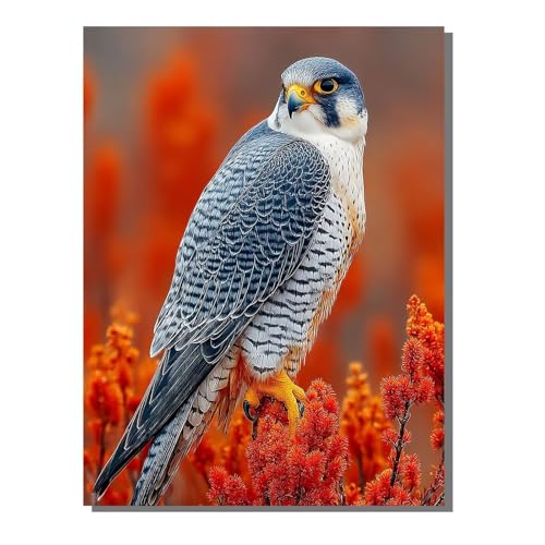 5D Diamond Painting Erwachsene, Diamant Malerei Kinder Anfänger, DIY Tier Adler Diamant Painting Bilder Erwachsene Bastelset Geeignet Als Geschenk, Zur Entspannung und Als Wanddeko 40x50cm SYLF39 von YALNSENN