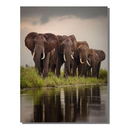 5D Diamond Painting Erwachsene, Diamant Malerei Kinder Anfänger, DIY Tier Elefant Diamant Painting Bilder Erwachsene Bastelset Geeignet Als Geschenk, Zur Entspannung und Als Wanddeko 30x40 cm SYLF535 von YALNSENN