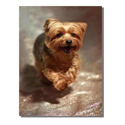 5D Diamond Painting Erwachsene, Diamant Malerei Kinder Anfänger, DIY Tier Hund Diamant Painting Bilder Erwachsene Bastelset Geeignet Als Geschenk, Zur Entspannung und Als Wanddeko 60x80 cm SYLF770 von YALNSENN