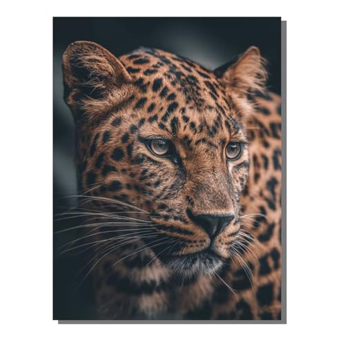 5D Diamond Painting Erwachsene, Diamant Malerei Kinder Anfänger, DIY Tier Leopard Diamant Painting Bilder Erwachsene Bastelset Als Geschenk Zur Entspannung und Als Wanddeko 50 x 70 cm SYLF150 5D Diamond Painting Erwachsene, Diamant Malerei Kinder Anfänger, DIY Tier Leopard Diamant Painting Bilder Erwachsene Bastelset Als Geschenk Zur Entspannung und Als Wanddeko 50 x 70 cm SYLF150 von YALNSENN