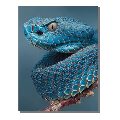 5D Diamond Painting Erwachsene, Diamant Malerei Kinder Anfänger, DIY Tier Schlange Diamant Painting Bilder Erwachsene Bastelset Geeignet Als Geschenk, Zur Entspannung und Als Wanddeko 40x50cm SYLF33 von YALNSENN