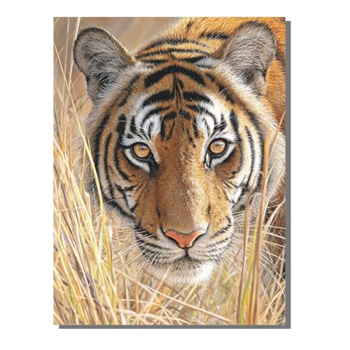 5D Diamond Painting Erwachsene, Diamant Malerei Kinder Anfänger, DIY Tier Tiger Diamant Painting Bilder Erwachsene Bastelset Geeignet Als Geschenk, Zur Entspannung und Als Wanddeko 30x40 cm SYLF88 von YALNSENN