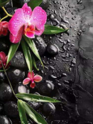 Diamond Painting Kinder Orchidee 5D Diamond Painting Blume Bilder DIY Full drill Crystal Strass Stickerei Mosaic Diamant Malerei Bastelset Geeignet Als Geschenk Entspannung und Wanddeko 70x95 cm 5-E Diamond Painting Kinder Orchidee 5D Diamond Painting Blume Bilder DIY Full drill Crystal Strass Stickerei Mosaic Diamant Malerei Bastelset Geeignet Als Geschenk Entspannung und Wanddeko 70x95 cm 5-E von YALNSENN