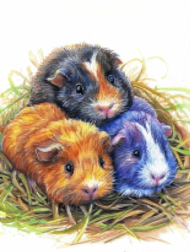 Diamond Painting Meerschweinchen Diamond Painting Erwachsene Groß XXL Tier Full drill Daiment Malerei Erwachsene, 5D Diamant Art Mosaic Bastelset Kunst-Design-Stickerei für Dekoration 40 X 50cm T-M von YALNSENN