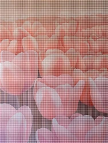 Diamond Painting Tulpe Diamond Painting Erwachsene Groß XXL Blumen Full drill Daiment Malerei Erwachsene, 5D Diamant Art Mosaic Bastelset Kunst-Design-Stickerei Set für Wand Dekoration 80 X 100cm W-8 Diamond Painting Tulpe Diamond Painting Erwachsene Groß XXL Blumen Full drill Daiment Malerei Erwachsene, 5D Diamant Art Mosaic Bastelset Kunst-Design-Stickerei Set für Wand Dekoration 80 X 100cm W-8 von YALNSENN
