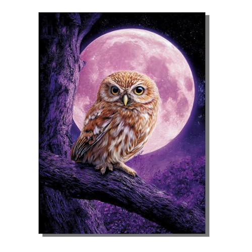 Tier Eule Diamond Painting Erwachsene, 5D Diamant Kunst Kinder Kits, DIY Erwachsene Mosaikherstellung Basteln Diamant Malerei Bilder Set für Weihnachten Wanddekoration, Geschenke 40x50cm SYLF487 von YALNSENN