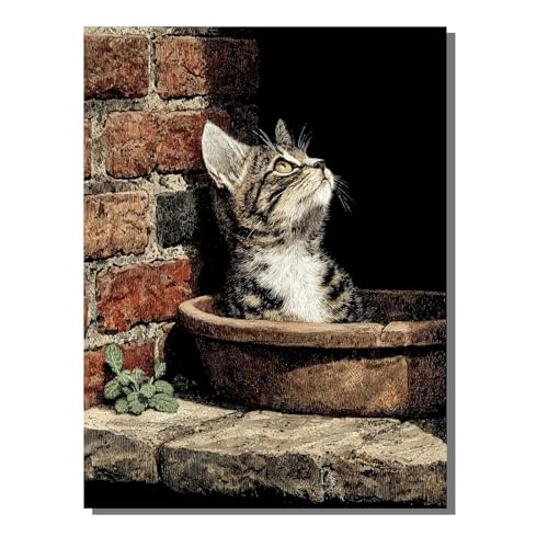 Tier Katze Diamond Painting Erwachsene, 5D Diamant Kunst Kinder Kits, DIY Erwachsene Mosaikherstellung Basteln Diamant Malerei Bilder Set für Weihnachten Wanddekoration, Geschenke 30x40 cm SYLF52 von YALNSENN