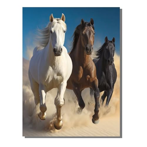 Tier Pferd Diamond Painting Erwachsene, 5D Diamant Kunst Kinder Kits, DIY Erwachsene Mosaikherstellung Basteln Diamant Malerei Bilder Set für Weihnachten Wanddekoration, Geschenke 60x80 cm SYLF789 von YALNSENN