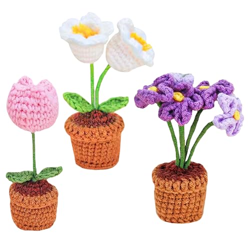 YANGUN Handgefertigter Häkelblumentopf, 3 Stück handgefertigte gestrickte Blume, fertiges Häkelblumen-Set, handgestrickter Sonnenblumen-Blumenkorb, Häkelblumen, Topfblume zum Dekorieren von Heimbüro YANGUN Handgefertigter Häkelblumentopf, 3 Stück handgefertigte gestrickte Blume, fertiges Häkelblumen-Set, handgestrickter Sonnenblumen-Blumenkorb, Häkelblumen, Topfblume zum Dekorieren von Heimbüro von YANGUN