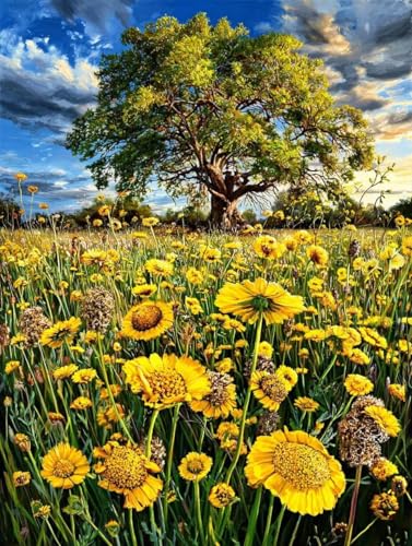 Chrysantheme Diamond Painting 50 x 70 cm, Diamant Painting Bilder Baum Crystal Art Eckige Steine Diamant Malerei Cross Stitch Stickerei Basteln Erwachsene für Deko Wohnzimmer, Geschenke -yym2507IC von YANGYUMBOU