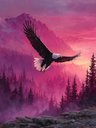Diamond Painting Adler Diamond Painting Erwachsene, 5D DIY Crystal Art Berg Muster Quadratische Steine Vollbohrer Mosaik Bastelset Erwachsene für Zimmer Deko, Geschenke für Frauen 20x30cm -yym2507NY von YANGYUMBOU
