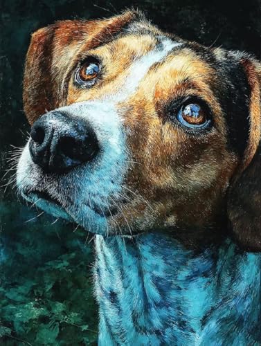 Hund Diamond Painting 25x35cm, Diamant Painting Bilder Tier Crystal Art 5D DIY Eckige Steine Diamant Malerei Cross Stitch Stickerei Basteln Erwachsene für Deko Wohnzimmer, Geschenke -yym2507FV843 von YANGYUMBOU