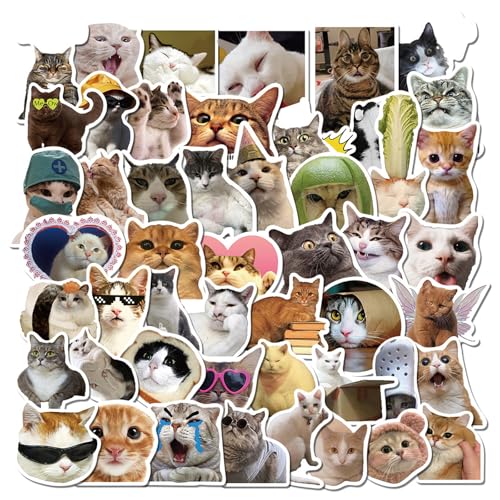 YANINEE 100 Stück Lustiges Katzen Sticker, SüßE Katzen Aufkleber Wasserfeste Vinyl Aufkleber YANINEE 100 Stück Lustiges Katzen Sticker, SüßE Katzen Aufkleber Wasserfeste Vinyl Aufkleber von YANINEE