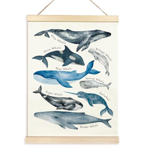 YAOGUI Pädagogisches Poster, Wale, Meerestier-Poster für Kinderzimmer, Spielzimmer, Kinderzimmer, mit Tieren, Holzaufhänger von YAOGUI