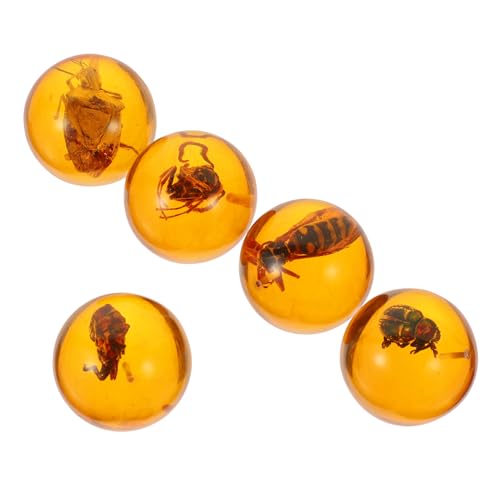 5 Stück Resin mit Insekten Dekorative Baumharz Dekoration für DIY Bastelprojekte für Schmuckdesigns und Kreative Handarbeiten von YARNOW