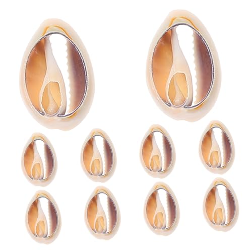 YARNOW 10 Stück Muschelperlen Für Die Schmuckherstellung Winzige Natürliche Muschel Winzige Muscheln Hülse Beige YARNOW 10 Stück Muschelperlen Für Die Schmuckherstellung Winzige Natürliche Muschel Winzige Muscheln Hülse Beige von YARNOW