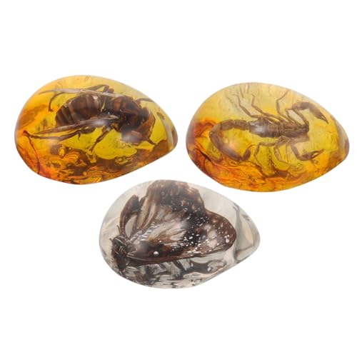 YARNOW 3 Stück Teiliges Insekten Bernstein Dekorationsset Authentische Insekten Bernstein Kreative Schmuckanhänger für Sammler und Dekoration für Halloween und Besondere Anlässe von YARNOW