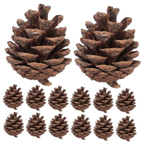 YARNOW 30Stücke Große Für DIY Weihnachtsdeko Natürliche Kiefernzapfen Für Bastelarbeiten Und Weihnachtskränze Festliche Dekorationen von YARNOW