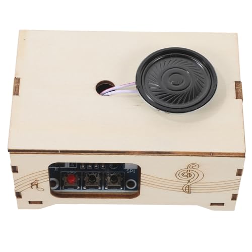 YARNOW DIY Holz Phonograph Spieluhr Kreatives Aufnahmegerät für Vielseitiger Musikrecorder mit Wissenschaftsexperiment Anleitung Handgemachtes Holzmodell für Musikalische und Lernen von YARNOW